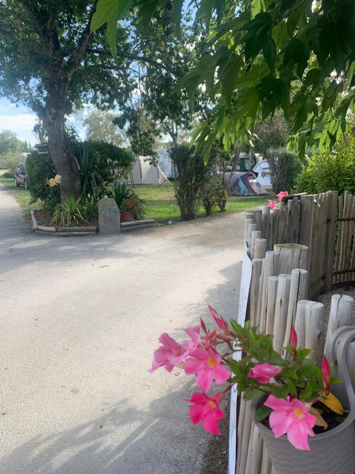 Camping Paradis Le Moulin Des Oies Belz Luaran gambar